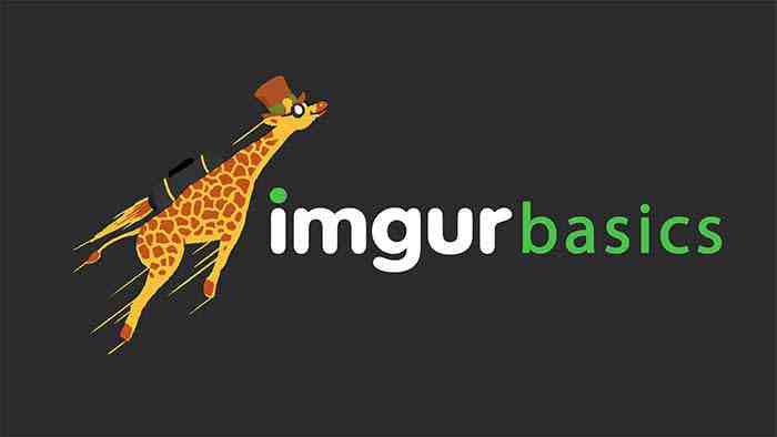 Imgur: The complete guide for beginners