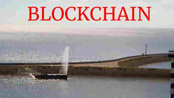 You can now make a fake Dutch whale squirt over blockchain