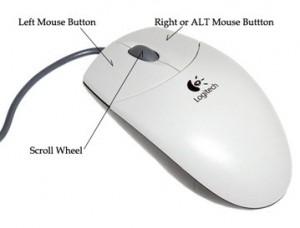 Important Mouse Buying Information